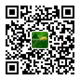 篮球周训练计划包括哪些内容呢图片_1